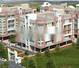 Niagaree Yamuna Green