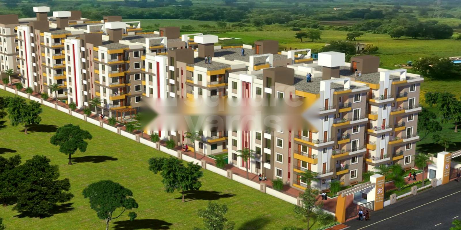 Sai Winsome Pitambar Gold Featured Image