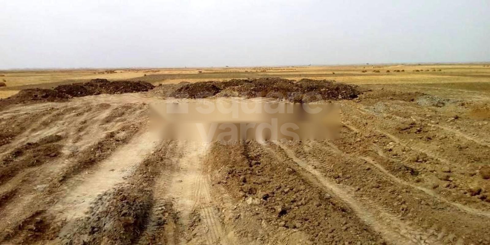 TCW The Sai Greens Patna