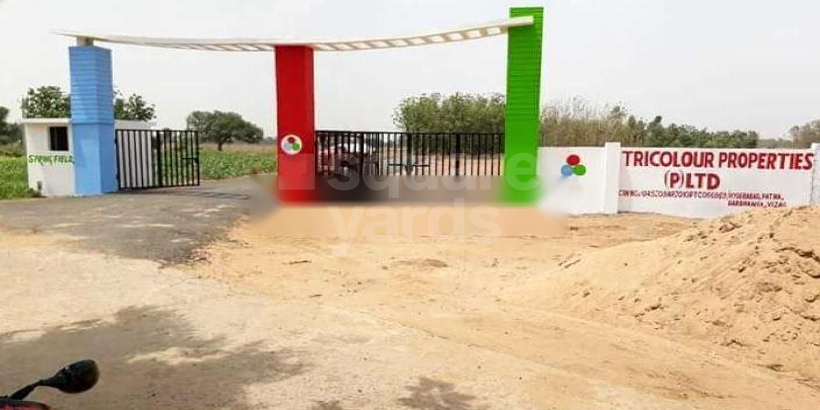 Tricolour Spring Fields Featured Image