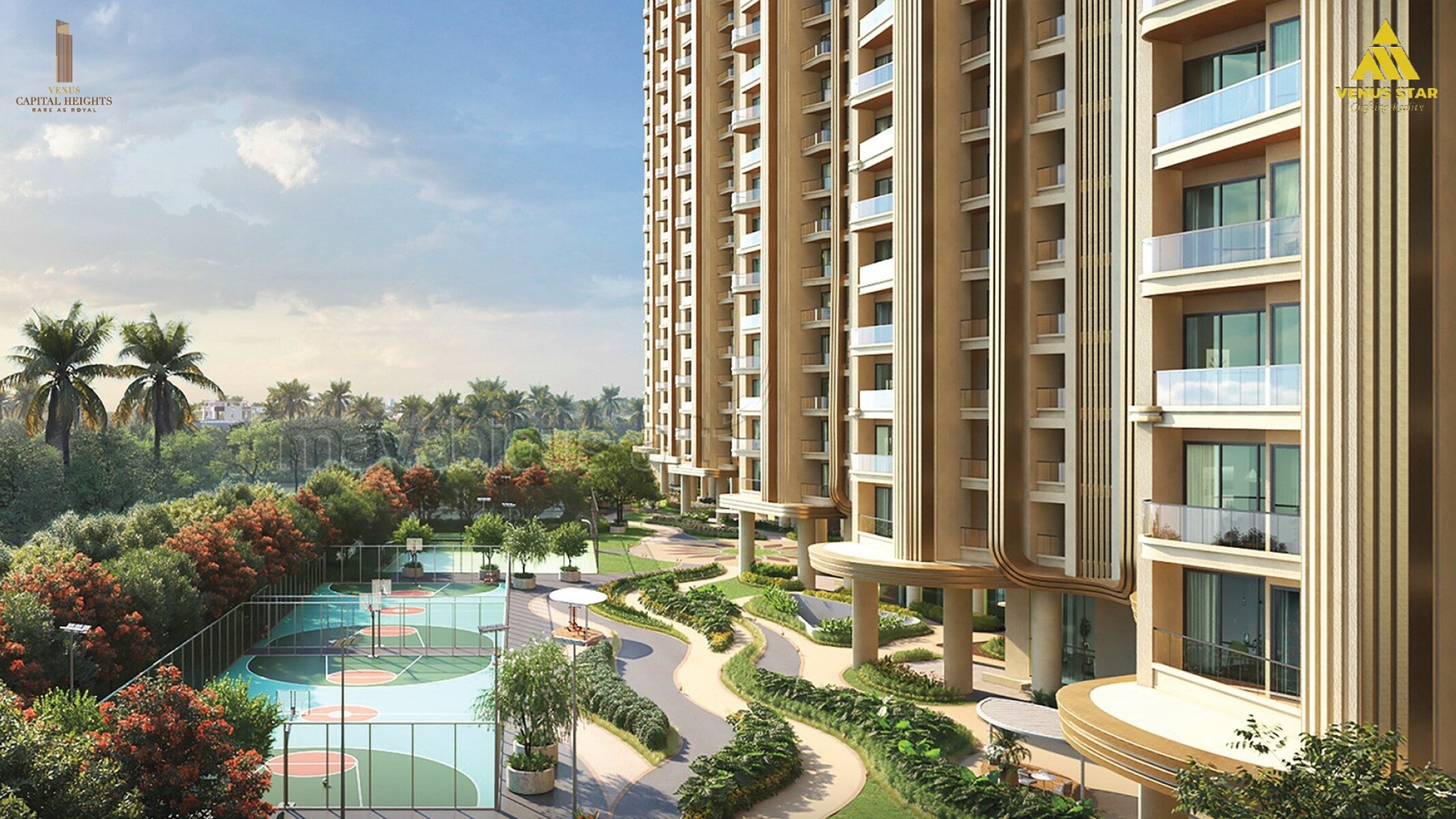 Venus Capital Heights