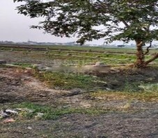 Bairiya City Featured Image