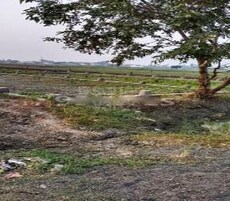 Bairiya City Featured Image