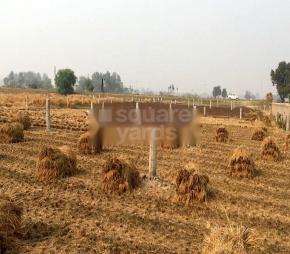 Casa The Royal Highlands Featured Image