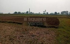 City Sapphire Park Featured Image