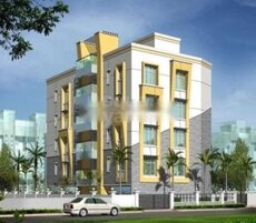 DPM Pearl Featured Image