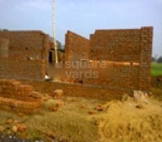 Herbal city Featured Image