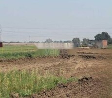 Kinship The Village City Featured Image