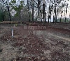 Mehar Patliputra Green City Featured Image