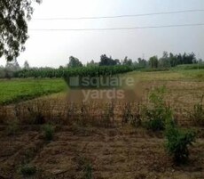 Nisana Metro City Featured Image