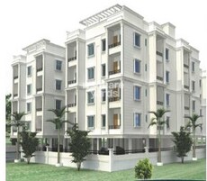 Peace Shanti Exotica Featured Image