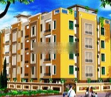 Sai Tulip Featured Image