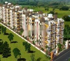 Sai Winsome Pitambar Gold Featured Image