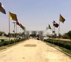 Shine City Tashi Featured Image