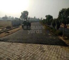 Singh Tashi Featured Image