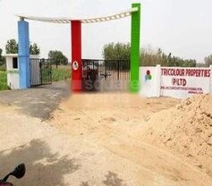 Tricolour Spring Fields, Bihta, Patna
