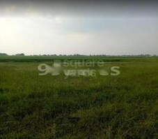 Wishluv City Featured Image