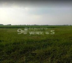 Wishluv City Featured Image