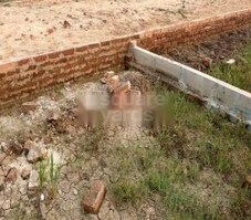 WTE Colony Featured Image