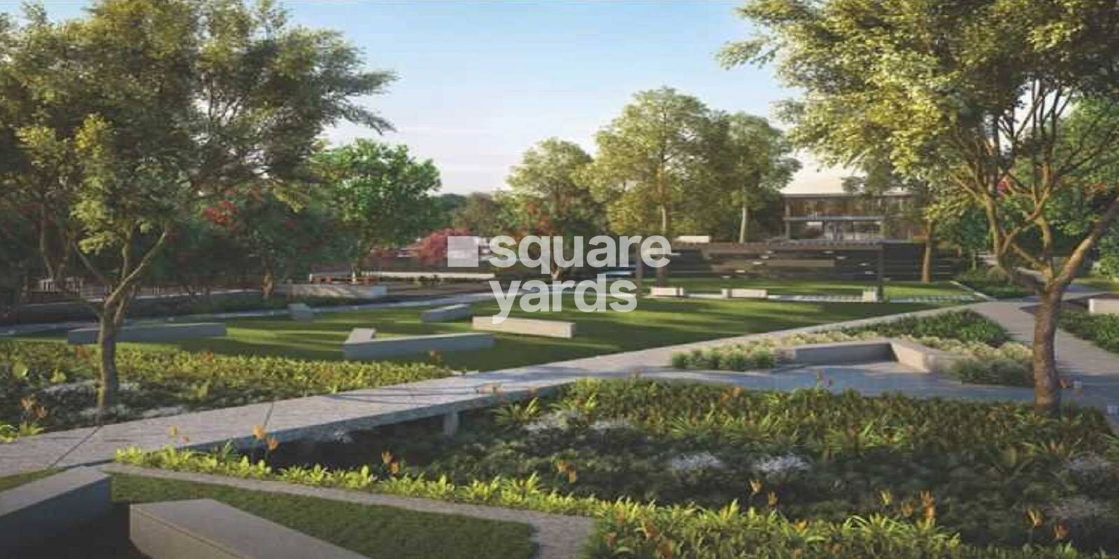 46 Banyan Tree