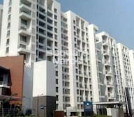 Acropolis Purple Nine Hills Tower View