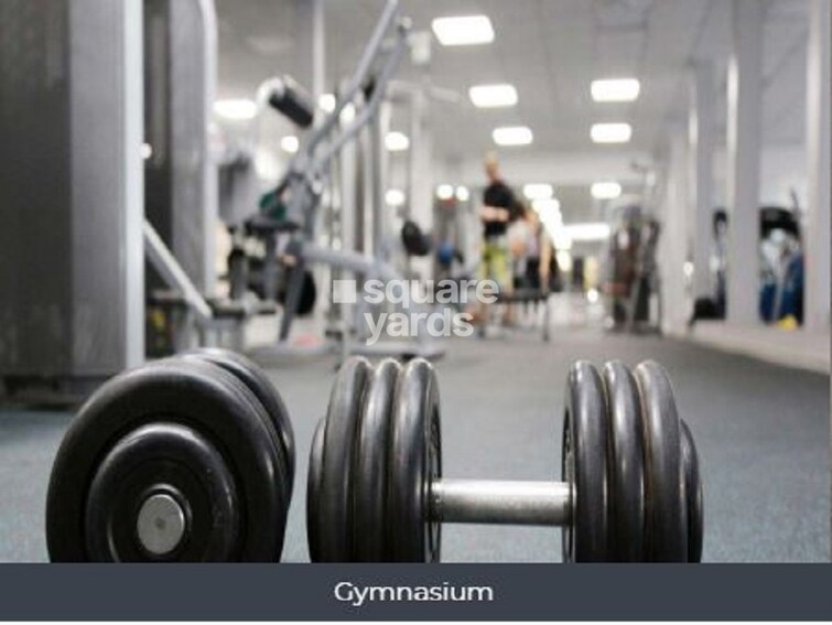 Amanora Neo Towers Gymnasium Image