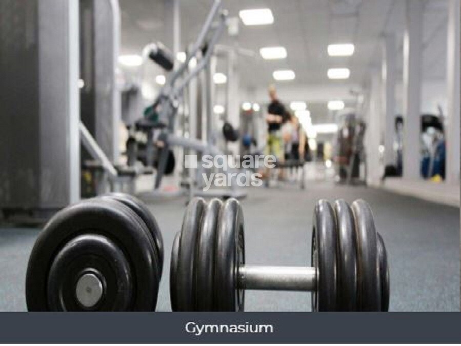 Amanora Neo Towers Gymnasium Image