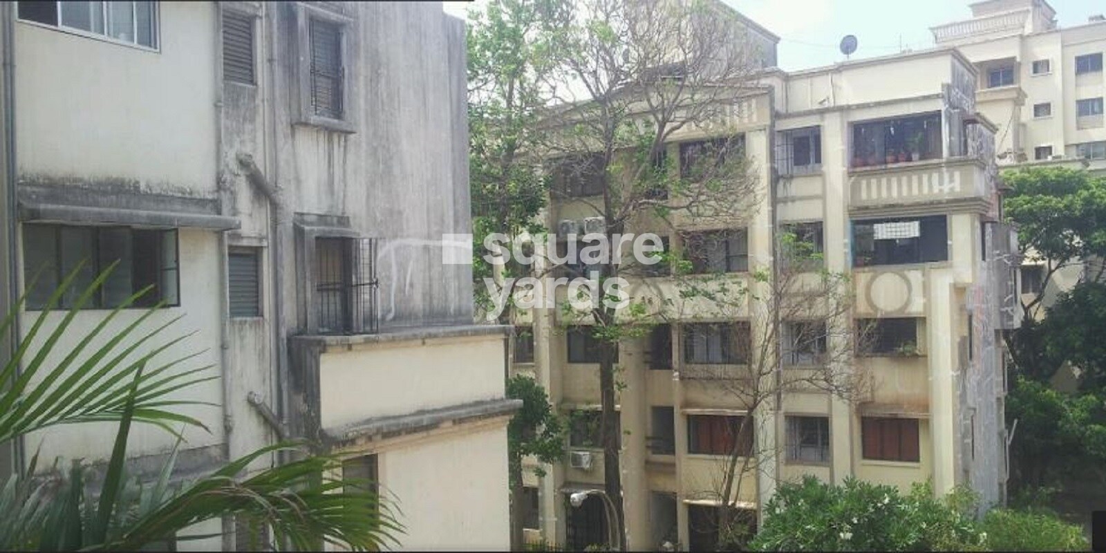 Amba Vatika, NIBM, Pune