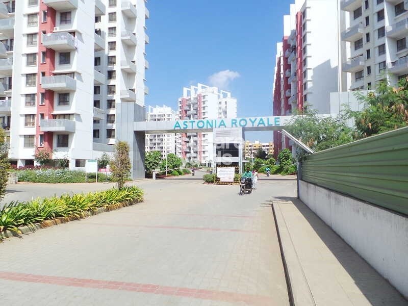 Amit Astonia Royale Entrance View