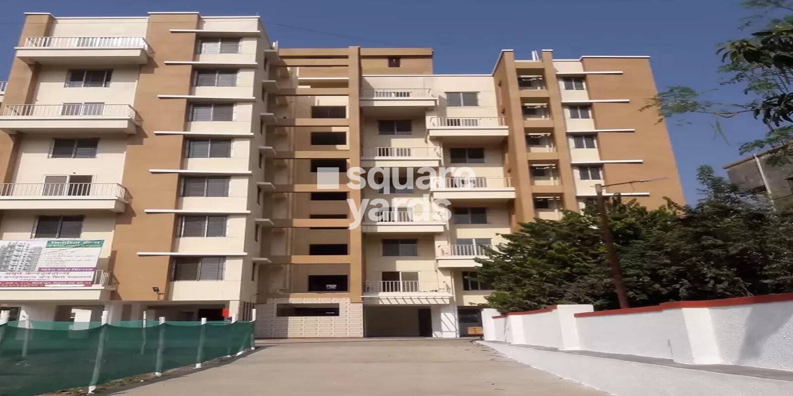 Amrit Senorita Greens