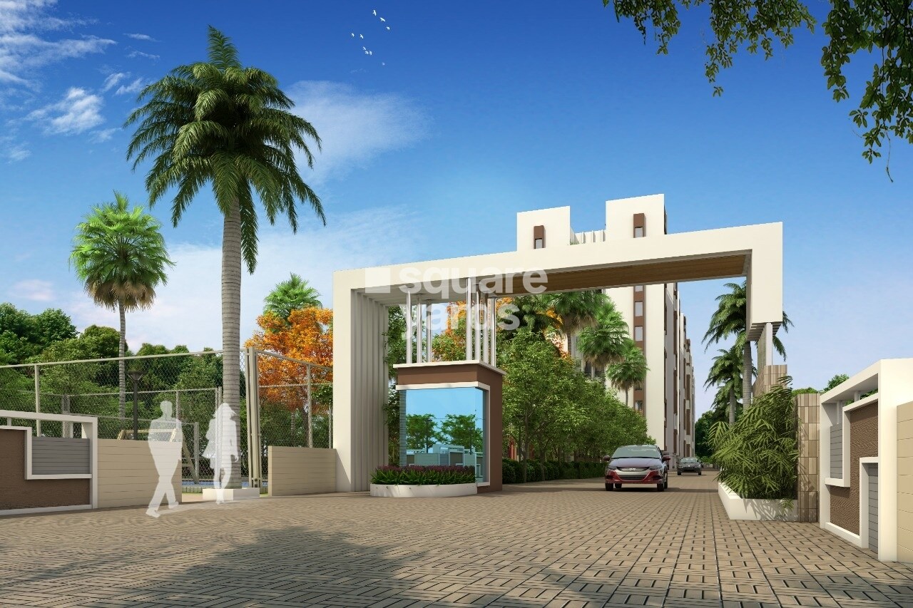 Anandtara Olive Orchard