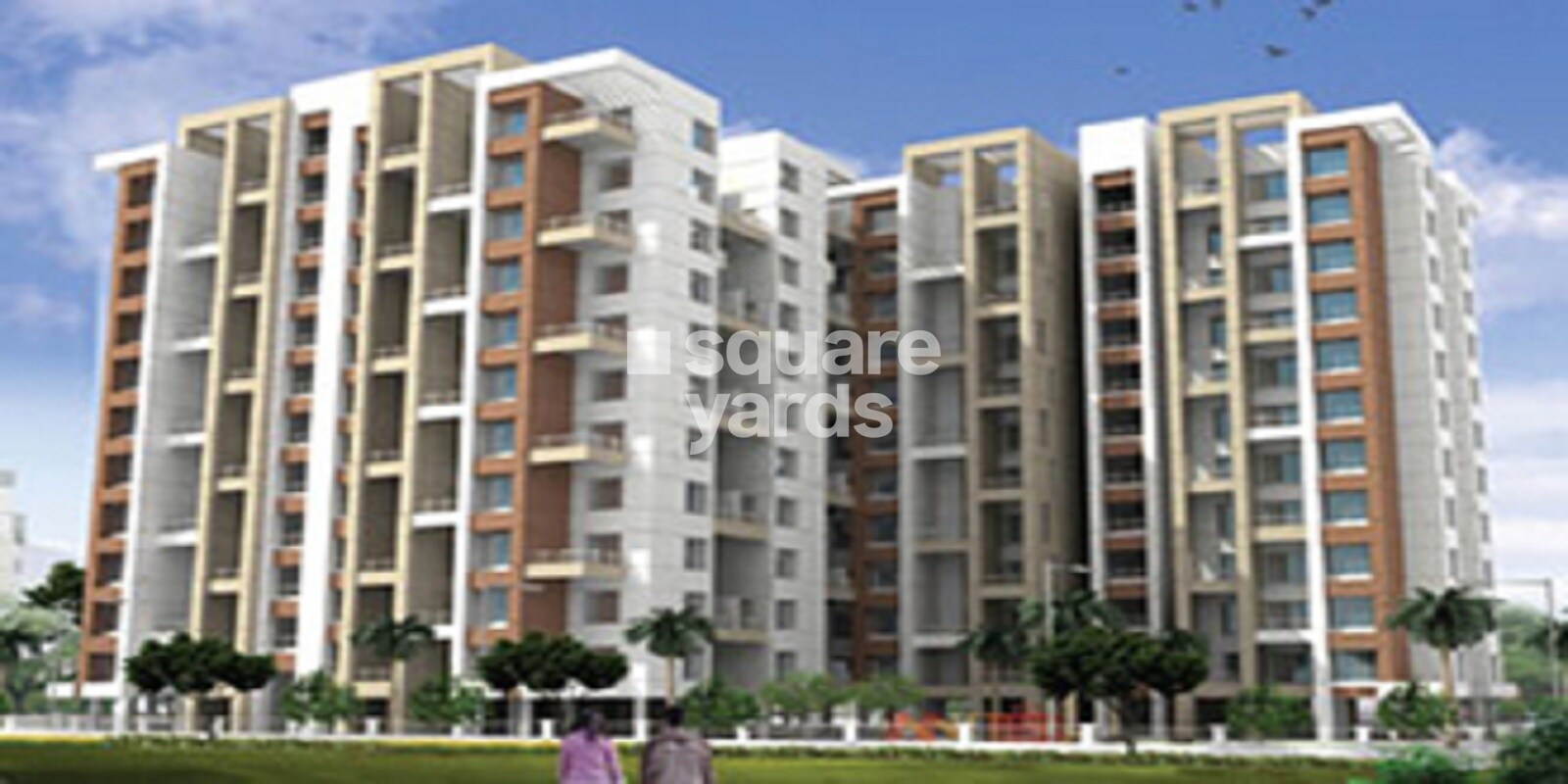 anandtara-olive-orchard