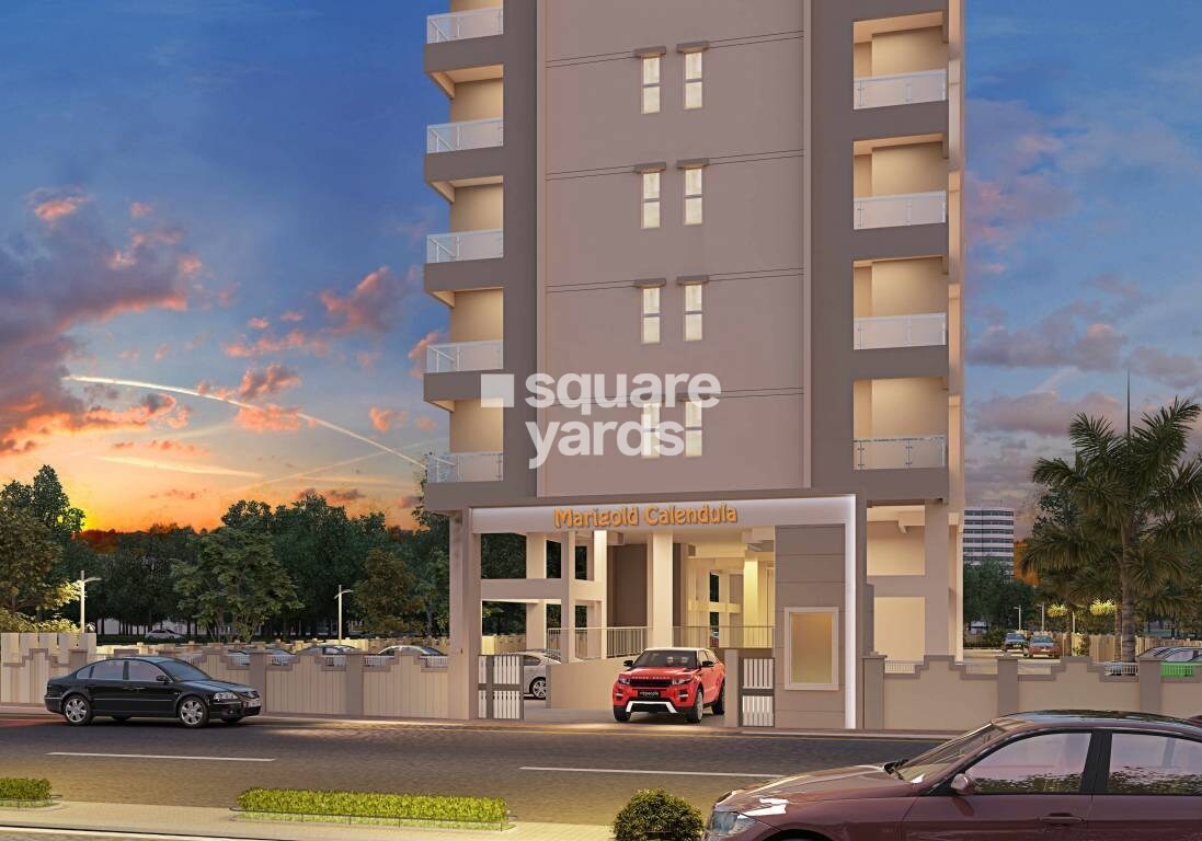 Audumbar Marigold Calendula Entrance View