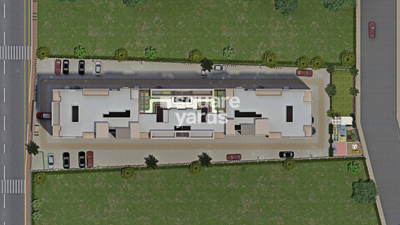 Audumbar-Marigold-Calendula_trucks are parked in a parking lot