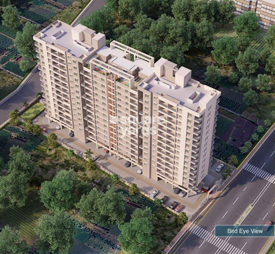 Audumbar Marigold Calendula