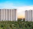 AV Anandam