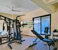 Avalon Avenue Amenities-Features