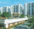 AWHO Vijay Vihar