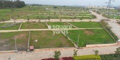 B U Bhandari Belleza