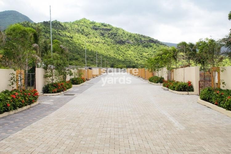 B U Bhandari Vaarsa Highland