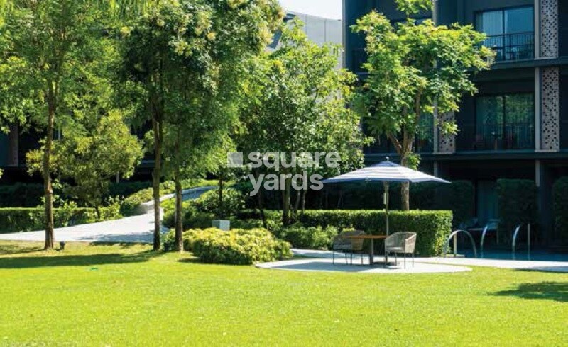 Badhekar Rising Hills