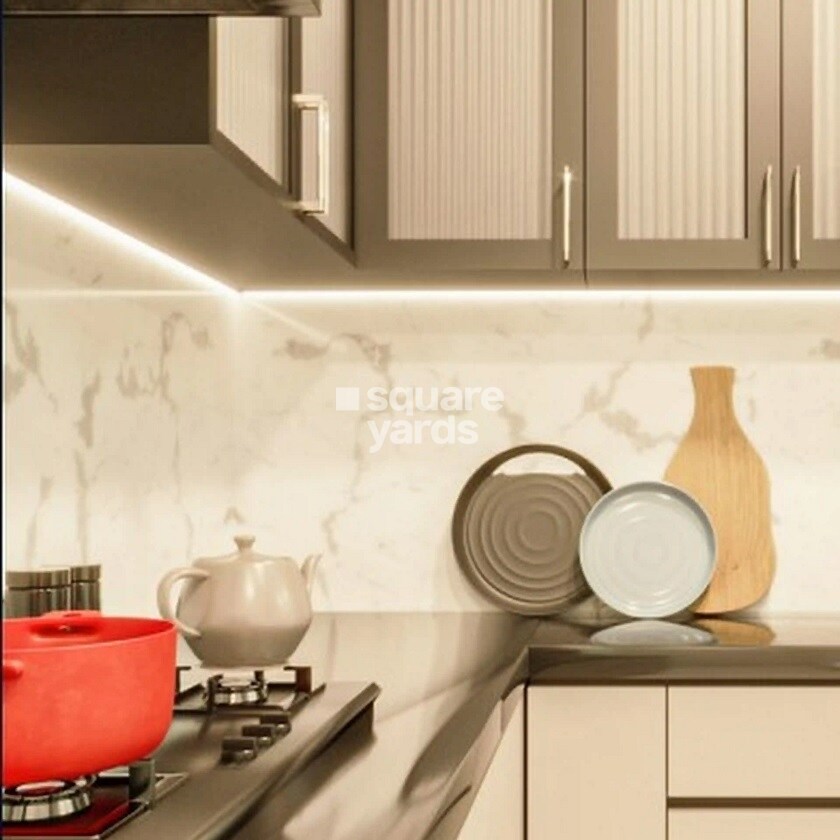 Balasai Elina Premium