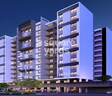Balasai Elina Premium