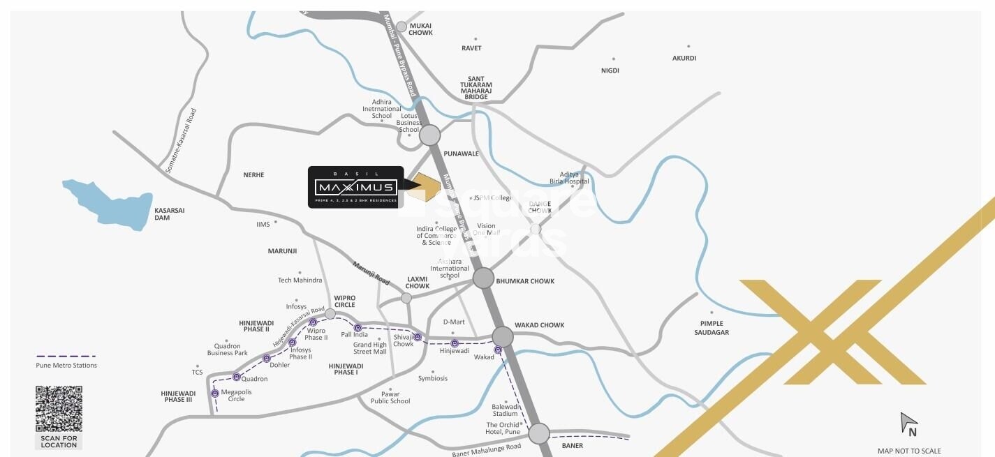 Basil Maximus Location Image