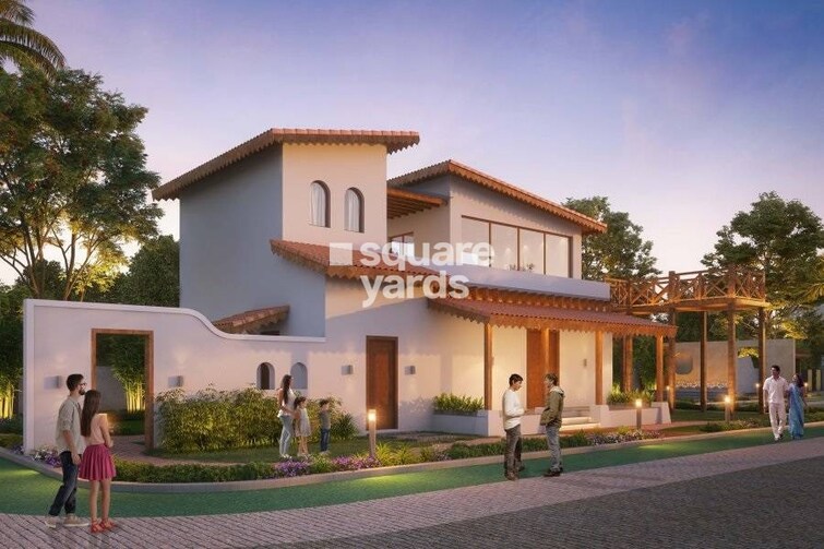 Basil Mondale Amenities-Features 6