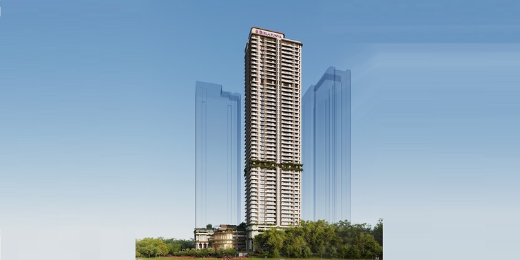 Birla Punya Cover Image