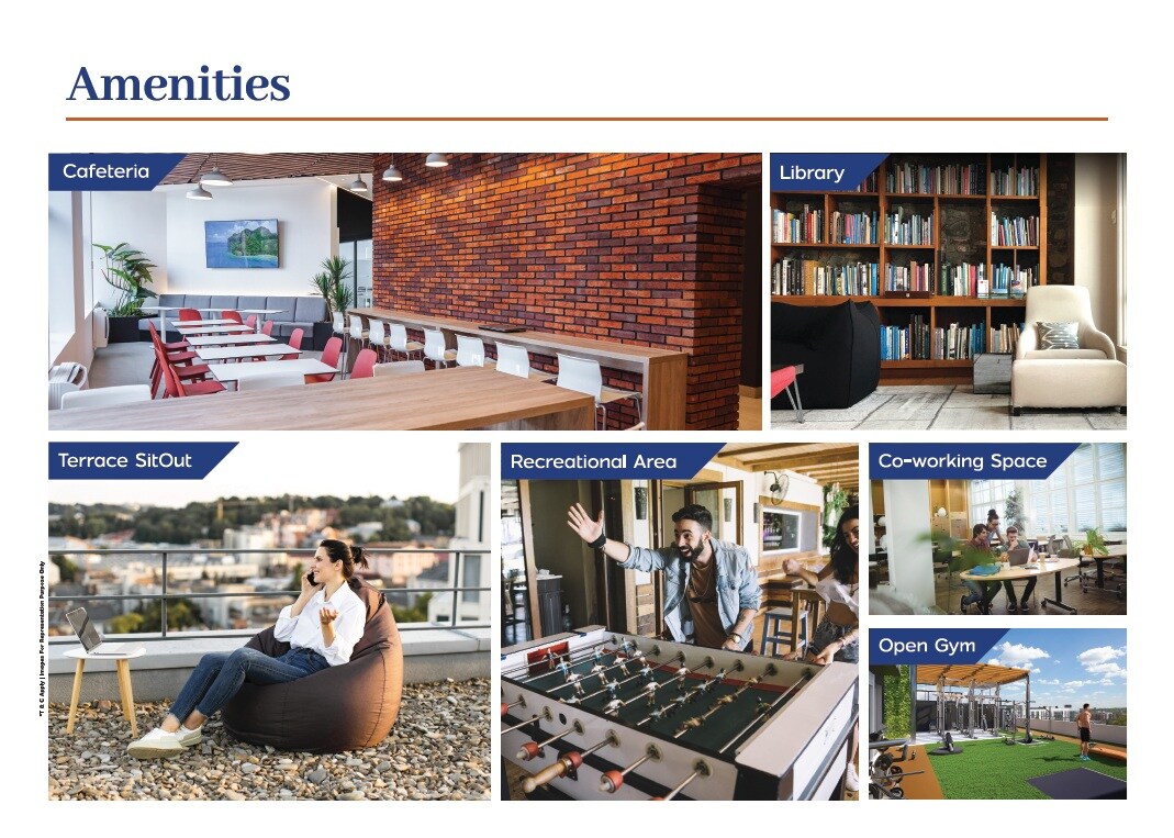 Blue Pearl 133 Orange Tree