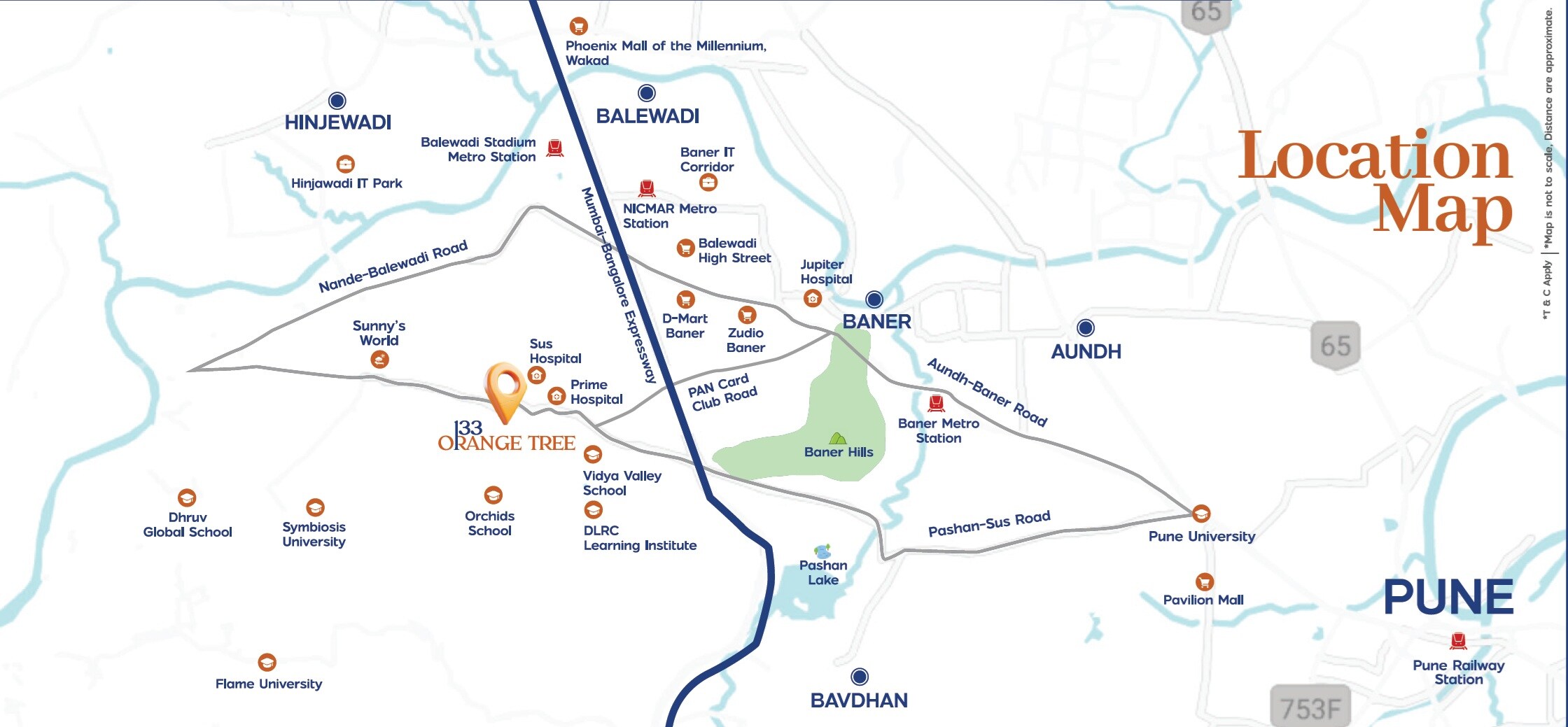 Blue Pearl 133 Orange Tree