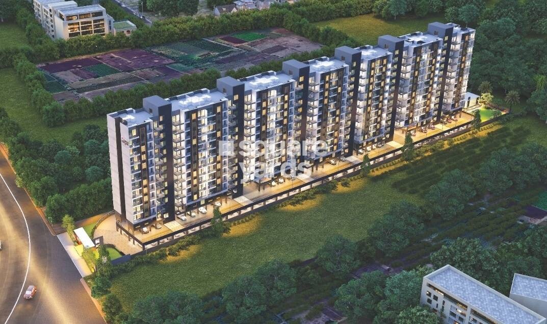 Blue Sapphire Swara Blossom