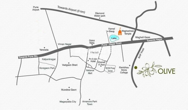 Blue Skky Olive Location Image